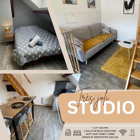Superbe Studio A Proximite Du Centre-Ville Saint-Die-des-Vosges Exteriör bild